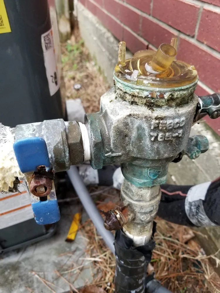 Custom yard cleanup service in Spring, TX - F & V Contractors