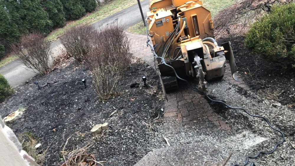 Top-rated landscape installation near you in Clifton Heights, PA by F and C Landscaping