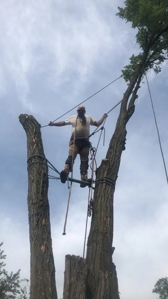 Professional yard cleanup service experts serving Clifton Heights, PA - F and C Landscaping