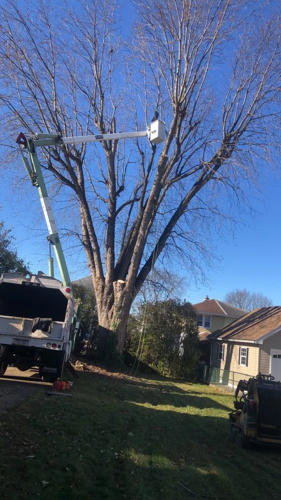 Top-rated landscaping services for outdoor upgrades in Clifton Heights, PA by F and C Landscaping