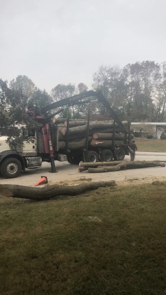 Professional yard cleanup service in Clifton Heights, PA - F and C Landscaping