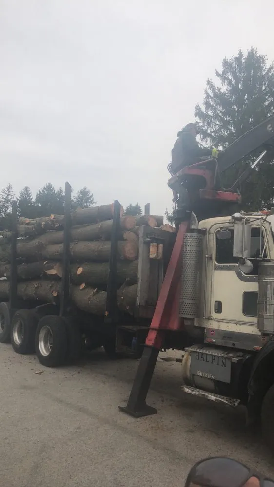 Local outdoor landscaping for homes across Clifton Heights, PA - F and C Landscaping