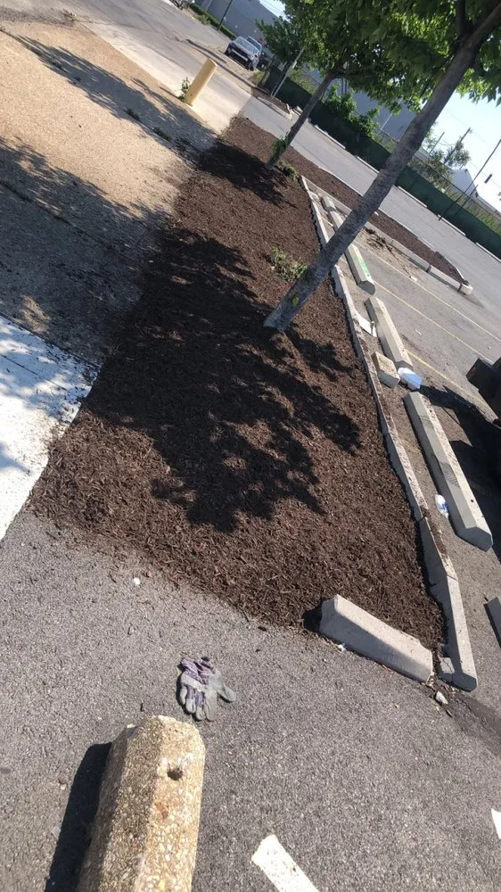 Custom landscaping services for homes in Clifton Heights, PA by F and C Landscaping