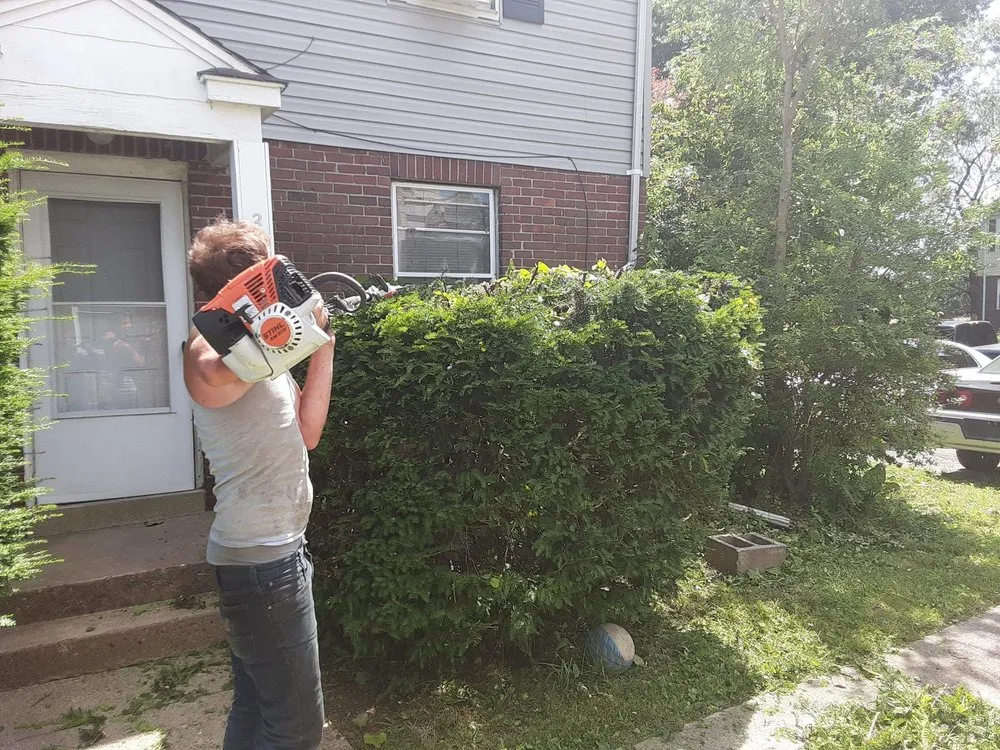 Expert lawn care service in Clifton Heights, PA by F and C Landscaping