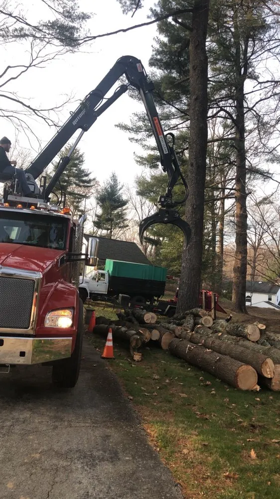 Affordable residential landscaping near you across Clifton Heights, PA - F and C Landscaping