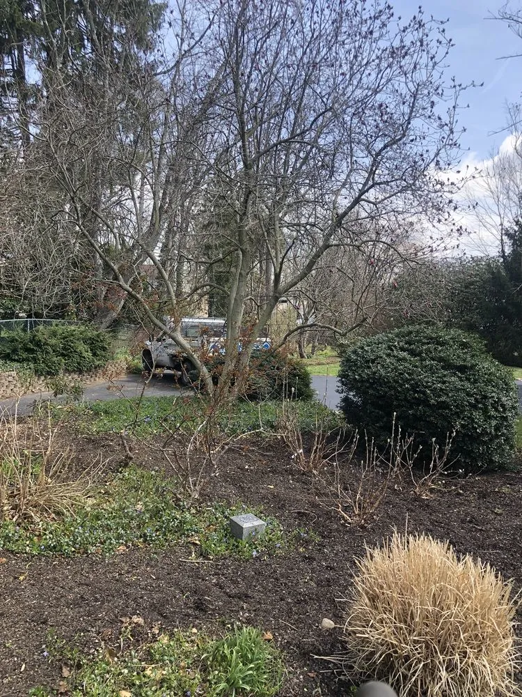 Affordable lawn care service for year-round maintenance across Clifton Heights, PA - F and C Landscaping