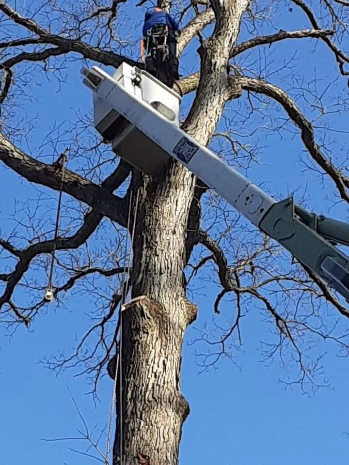 Reliable landscape design in Clifton Heights, PA by F and C Landscaping