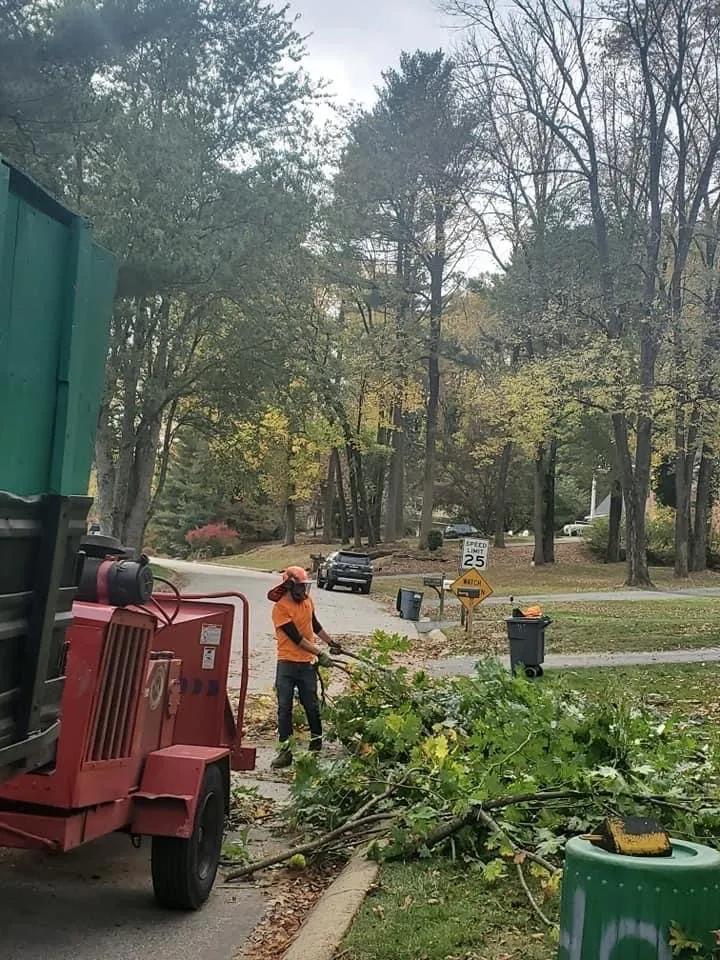 Affordable landscape installation for year-round maintenance across Clifton Heights, PA - F and C Landscaping