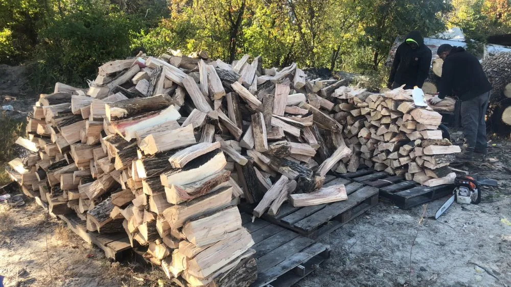 Local yard cleanup service in Clifton Heights, PA by F and C Landscaping