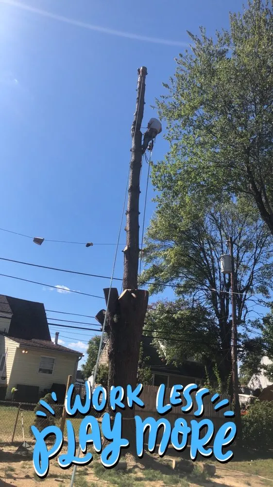 Professional garden landscaping in Clifton Heights, PA - F and C Landscaping