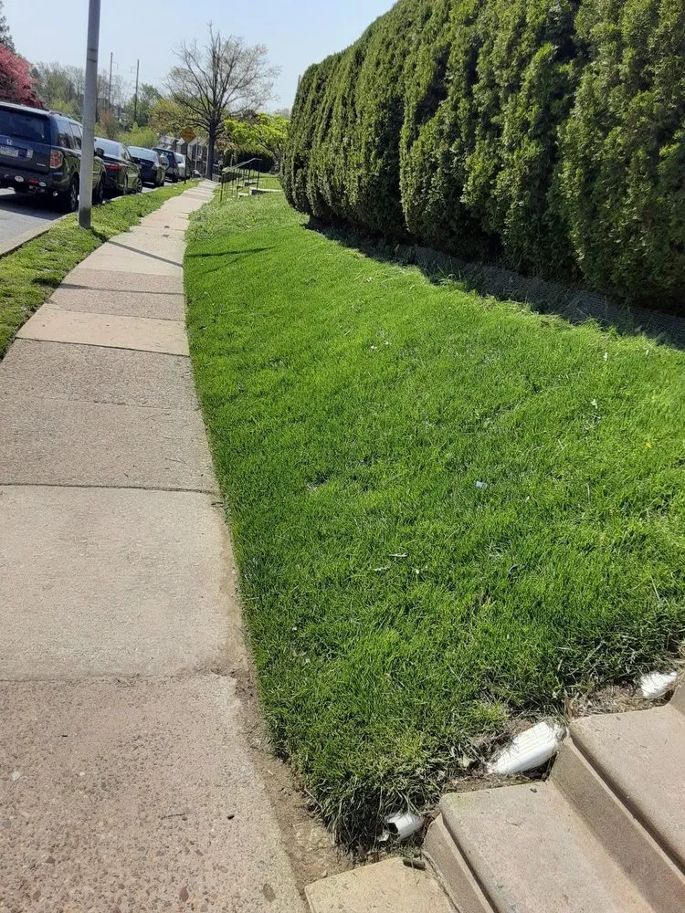 Custom yard cleanup service in Clifton Heights, PA by F and C Landscaping