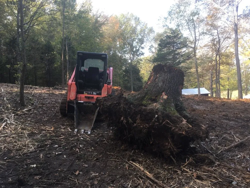 Affordable outdoor landscaping in Lewisburg, TN by F and F land services and construction