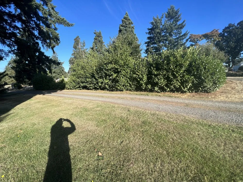 Professional outdoor landscaping in Vancouver, WA by F and R Landscape and Maintenance