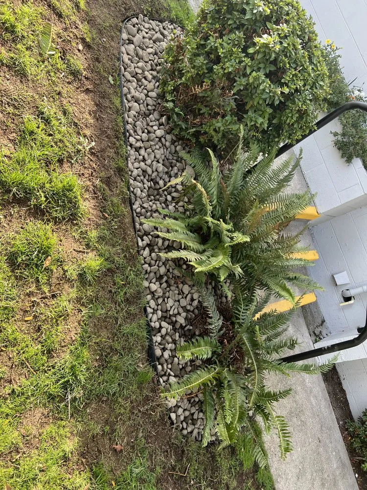 Top-rated lawn care service for residential properties in Vancouver, WA by F and R Landscape and Maintenance