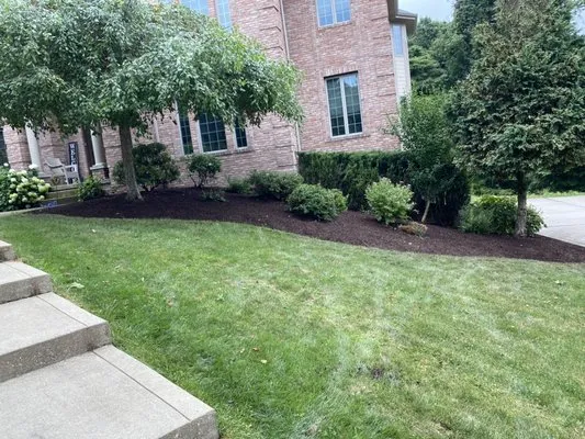 F and T's Tree Removal/Landscaping Logo