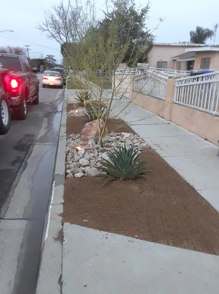 Top-rated yard cleanup service for outdoor upgrades across Cathedral City, CA - F Avila Landscaping