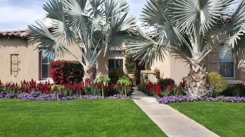 Top-rated lawn mowing service in Indio, CA - F C Landscape