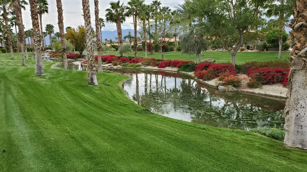 Expert residential landscaping for year-round maintenance across Indio, CA - F C Landscape