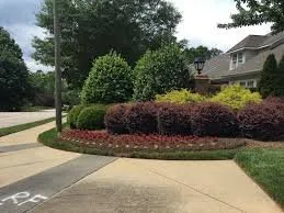 Reliable landscape design in Indio, CA by F C Landscape