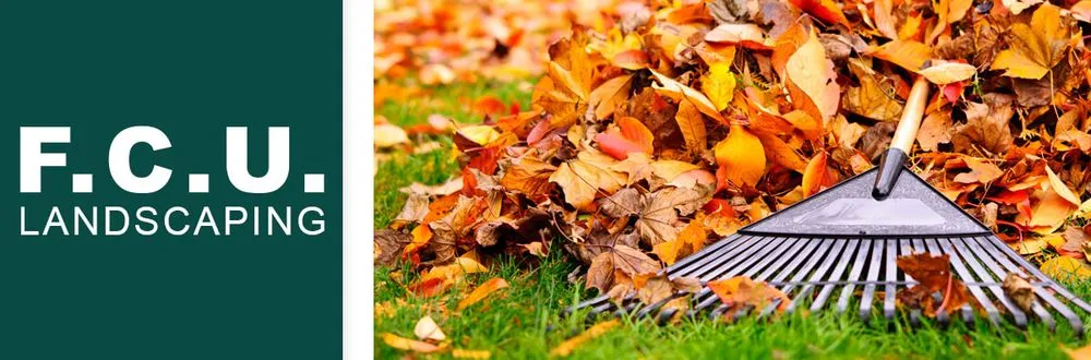 Affordable yard cleanup service experts serving Decatur, TX - F C U Landscaping