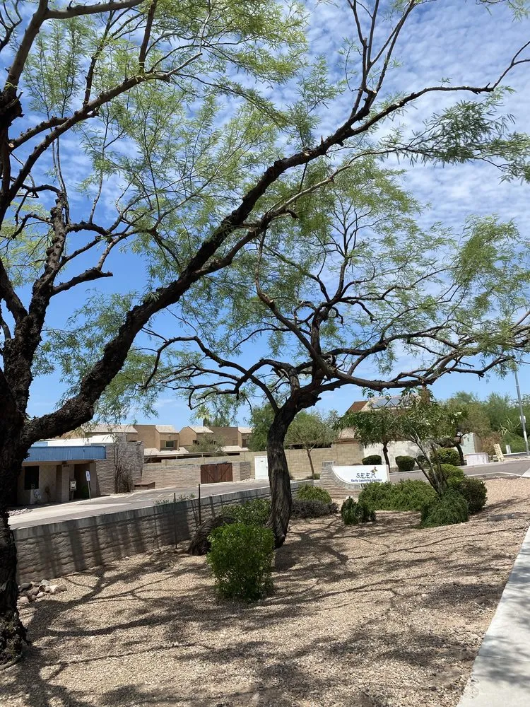 Trusted residential landscaping for outdoor upgrades across Phoenix, AZ - F Durans Landscaping