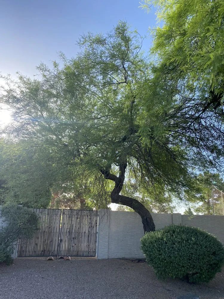 Reliable outdoor landscaping for outdoor upgrades across Phoenix, AZ - F Durans Landscaping