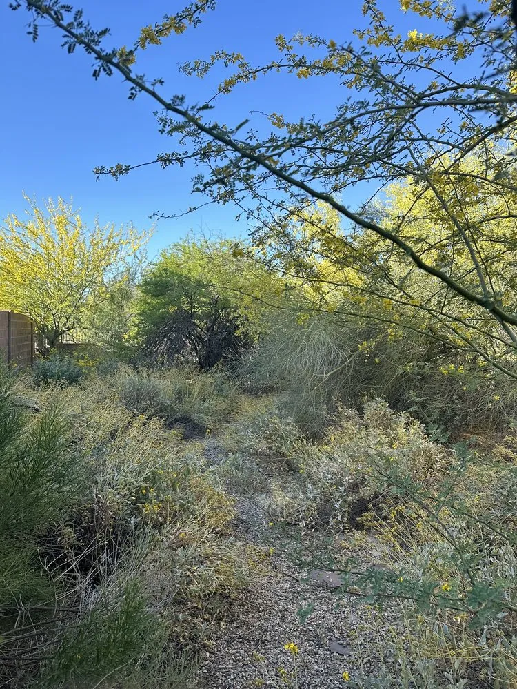 Custom lawn care service for year-round maintenance across Phoenix, AZ - F Durans Landscaping