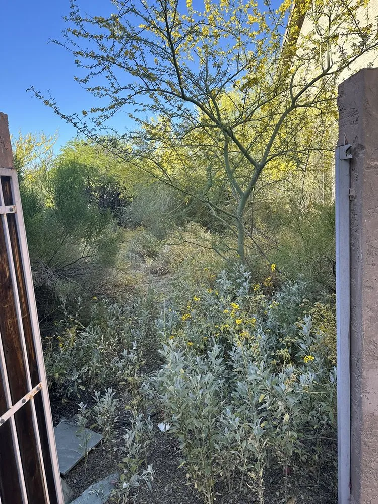 Trusted residential landscaping experts serving Phoenix, AZ - F Durans Landscaping