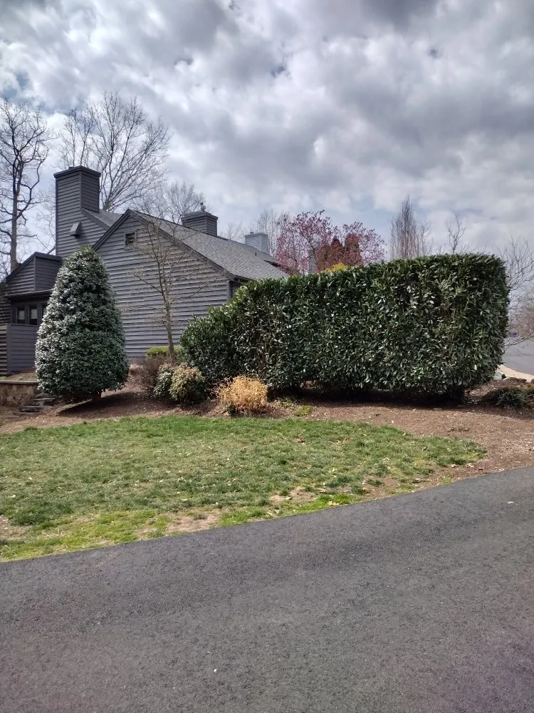 Trusted yard maintenance in marshall, VA - F Espinosa Landscaping & Lawn Service