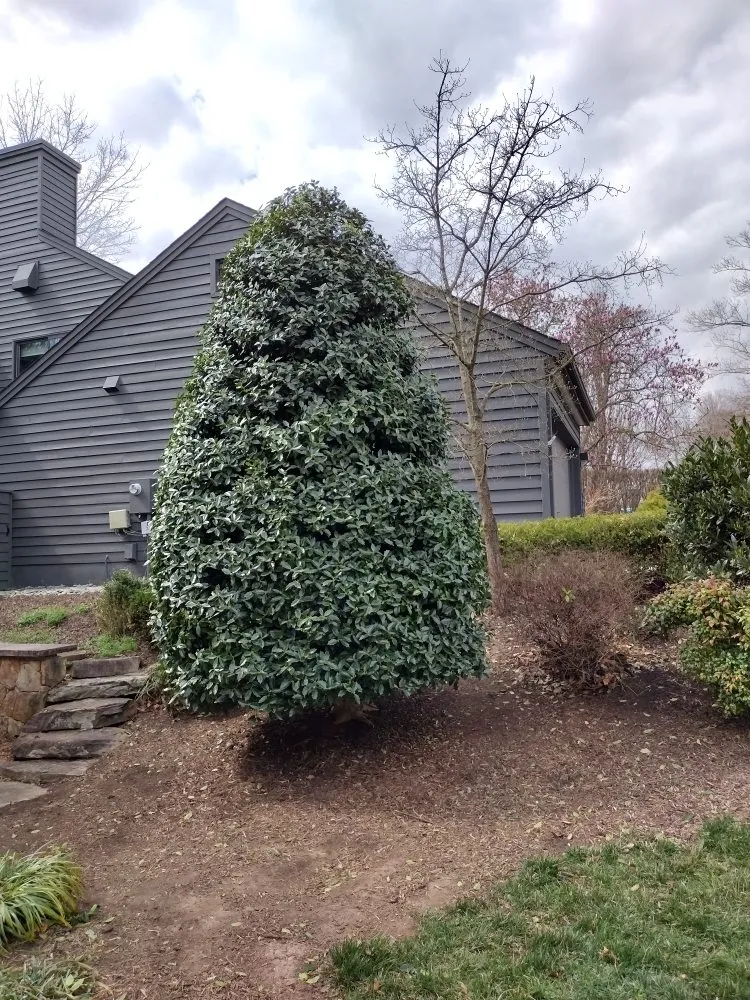 Trusted yard maintenance in marshall, VA by F Espinosa Landscaping & Lawn Service