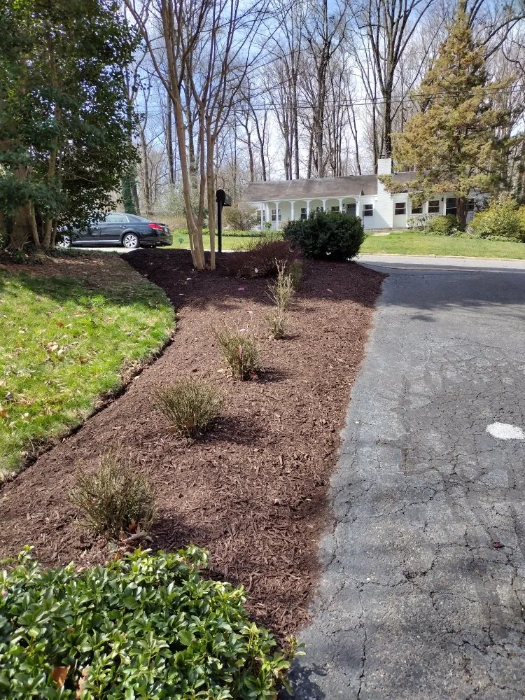 Local yard cleanup service experts serving marshall, VA - F Espinosa Landscaping & Lawn Service