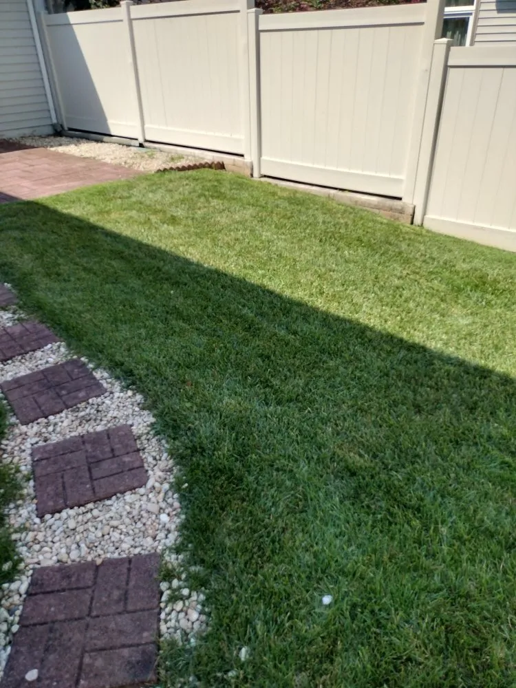 Reliable yard cleanup service near you across marshall, VA - F Espinosa Landscaping & Lawn Service