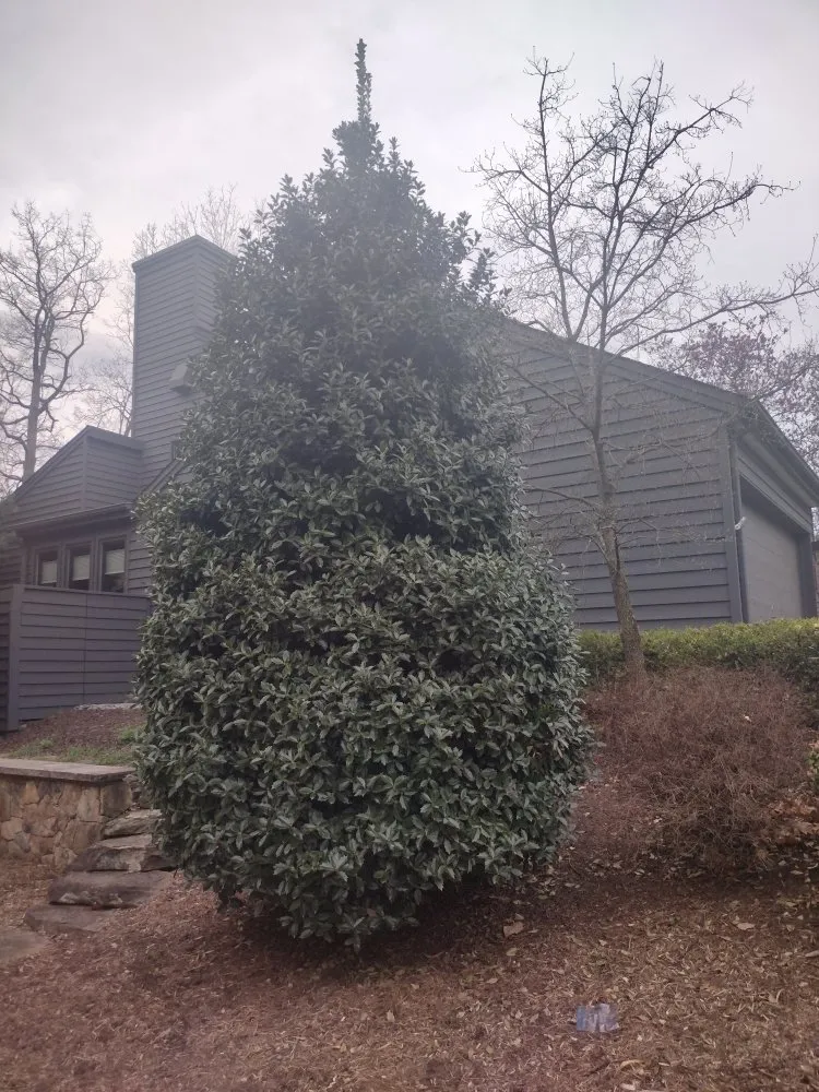 Top-rated lawn mowing service near you in marshall, VA by F Espinosa Landscaping & Lawn Service