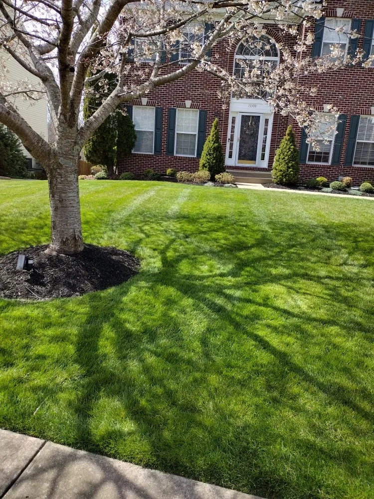 Trusted outdoor landscaping for outdoor upgrades in marshall, VA by F Espinosa Landscaping & Lawn Service