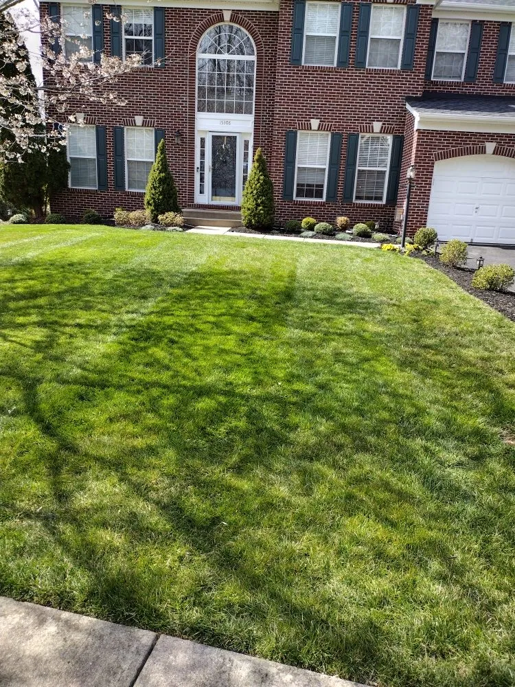 Local lawn mowing service in marshall, VA by F Espinosa Landscaping & Lawn Service