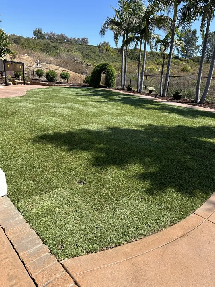 Custom landscape design in Escondido, CA by F G Landscape Construction
