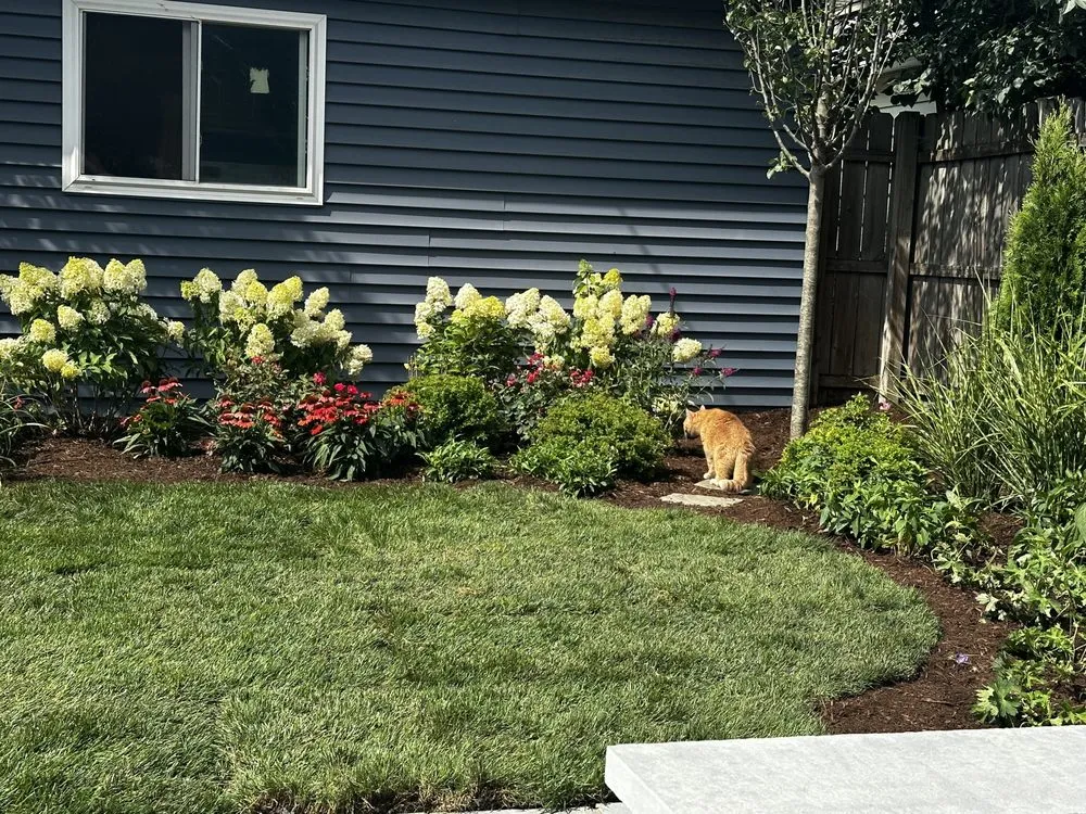 Affordable lawn mowing service for year-round maintenance across Chicago, IL - F Gomez Landscaping