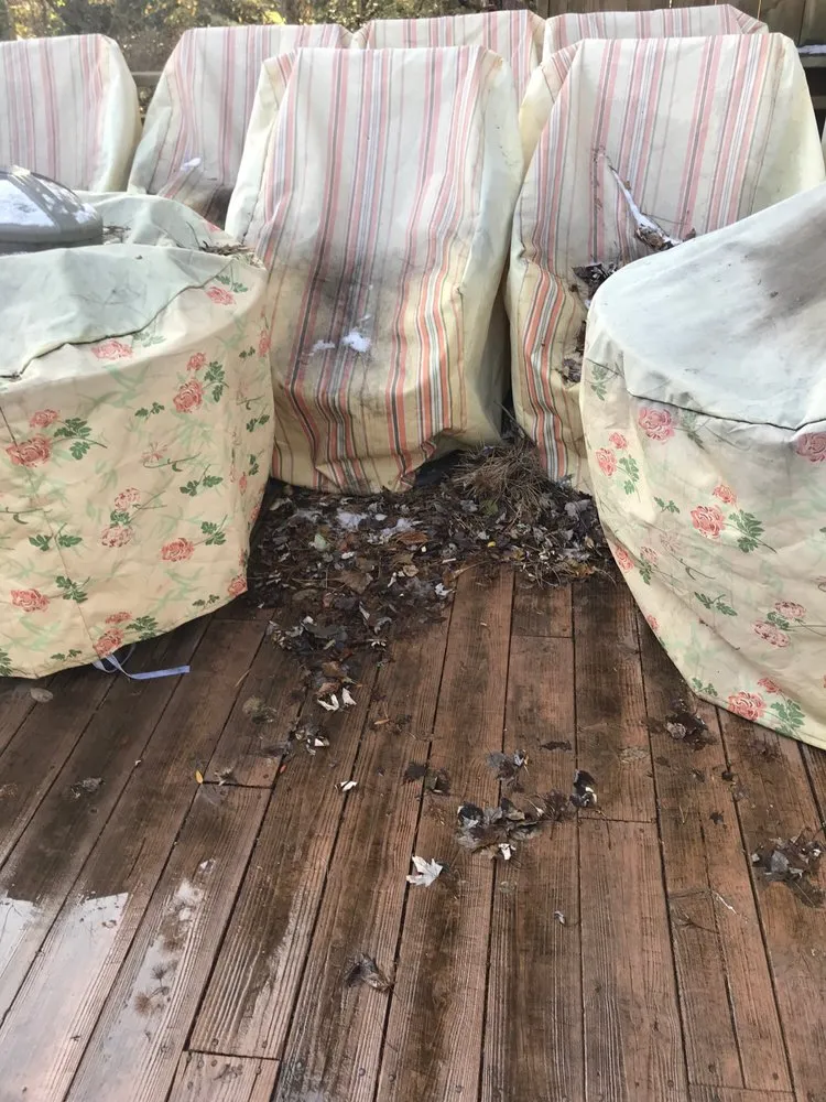 Top-rated yard maintenance in Farmington Hills, MI - F J LaFontaine & Sons Landscaping