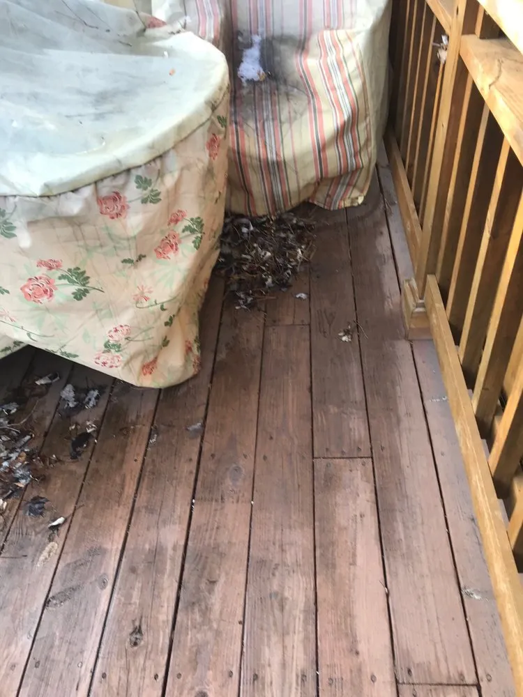 Custom lawn mowing service for residential properties across Farmington Hills, MI - F J LaFontaine & Sons Landscaping