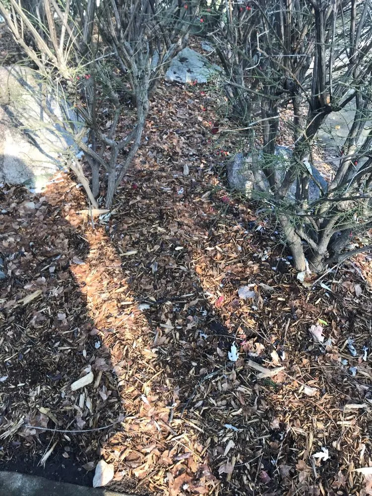 Local outdoor landscaping in Farmington Hills, MI - F J LaFontaine & Sons Landscaping