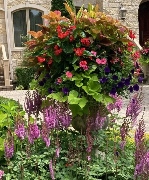 Affordable yard maintenance with custom design across North Chicago, IL - F. Javier Garcia Landscape