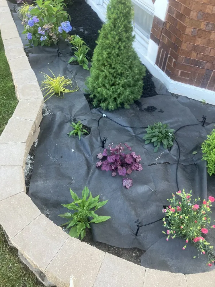 Expert lawn care service in Hickory Hills, IL by F L V Quality Landscaping