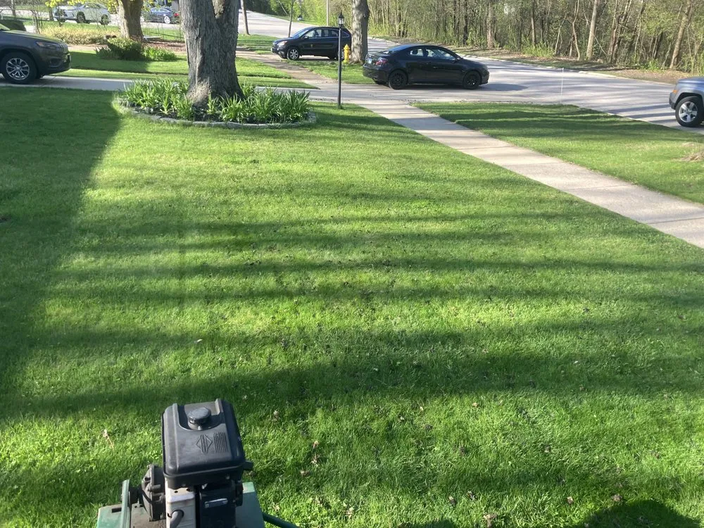 Custom yard cleanup service for year-round maintenance in Hickory Hills, IL by F L V Quality Landscaping