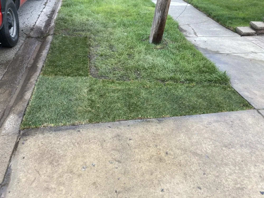 Reliable garden landscaping for year-round maintenance in Hickory Hills, IL by F L V Quality Landscaping