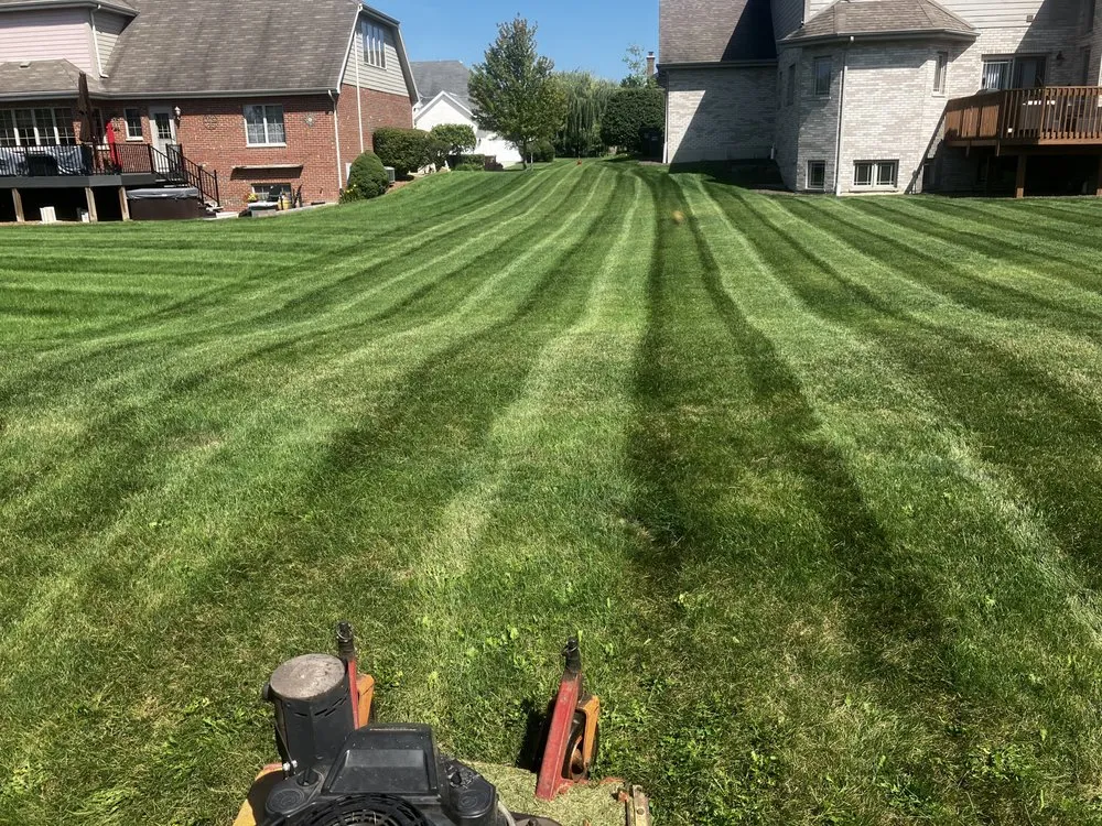 Expert yard maintenance in Hickory Hills, IL - F L V Quality Landscaping