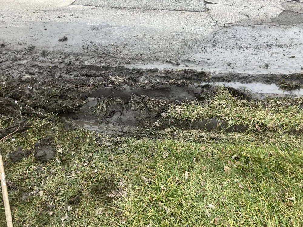 Expert yard maintenance in Hickory Hills, IL by F L V Quality Landscaping