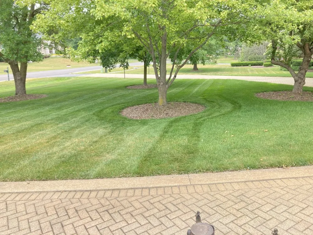 Expert landscaping services for year-round maintenance across Hickory Hills, IL - F L V Quality Landscaping