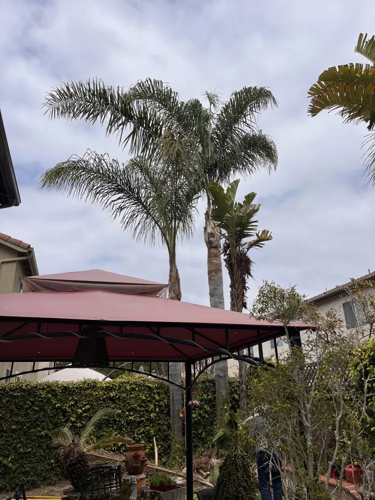 Custom landscape installation for beautiful yards across Oxnard, CA - F N Landscape