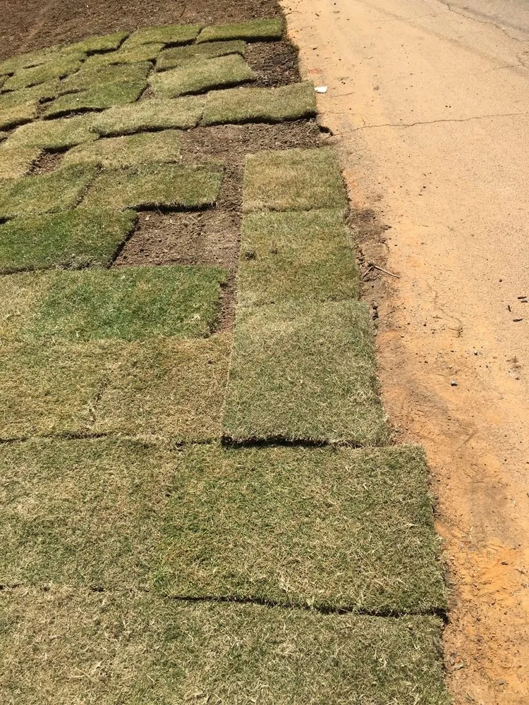 Reliable yard maintenance with custom design in Rock Hill, SC by F-Perez Landscaping
