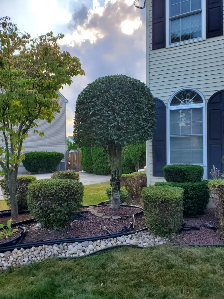 Professional landscape design for homes in New Brunswick, NJ by F Quiroz Landscaping